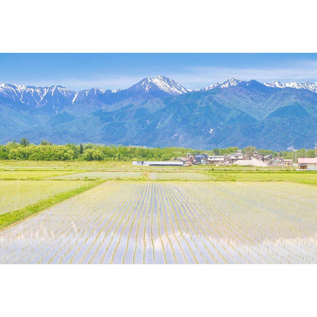 株式会社宮坂建設ロゴ