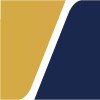 GReeNSeeDLab株式会社ロゴ