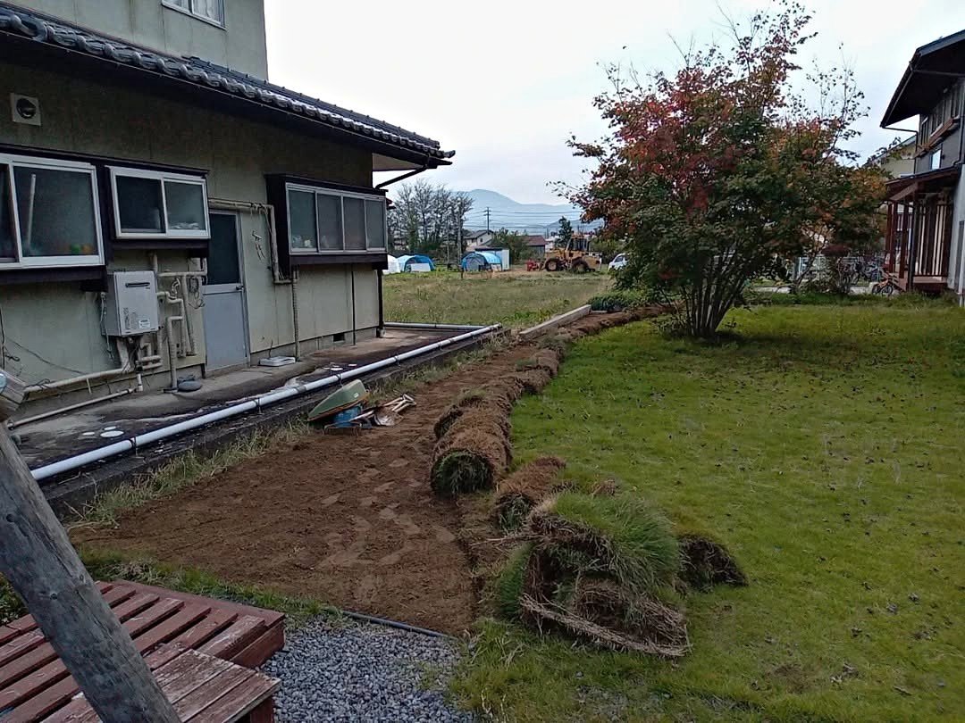 ビフォー画像