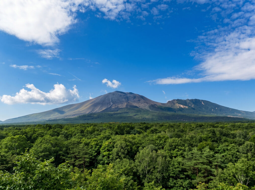 2026長野県佐久市への移住を徹底解説！軽井沢通勤と抜群の利便性が生む理想の暮らし
