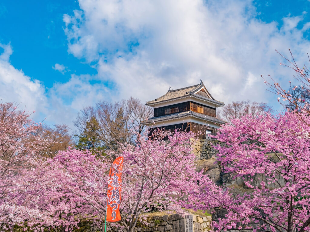 2026長野県上田市への移住を徹底解説！晴天率と利便性が生む豊かな暮らしの真実